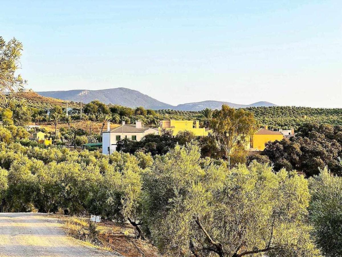 Arroyovil 25 Y 29 * Mancha Real